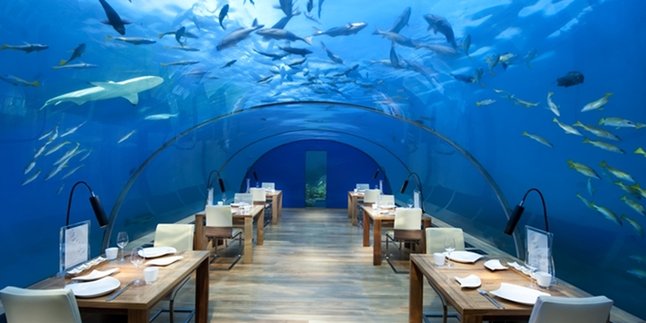 Dinner Beratapkan Keindahan Laut Maldives? Bisa Lho...