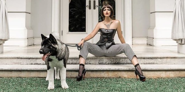 Being the 'Favorite Child,' It Turns Out Nia Ramadhani's Dog is Worth a Car