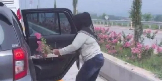 Jasa Marga Sesalkan Aksi Emak-Emak Cabut Bunga di Tol Pandaan-Malang