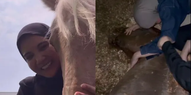 Sad News: Zaskia Sungkar's Beloved Horse Dies, Accompanied Until Its Last Breath