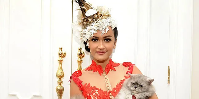 Kagumi Shahrukh Khan, Jupe Belajar Tari