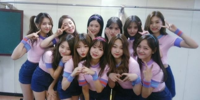 Miss Them So Much, Check Out the Latest News of 11 Former I.O.I Members from Produce 101