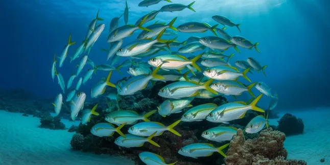 Kata Bijak Motivasi Ikan: Inspirasi Hidup dari Dunia Perikanan Kata Bijak Motivasi Ikan: Inspirasi Hidup dari Dunia Perikanan