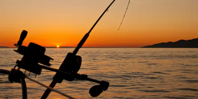Kata Kata Mancing Terlengkap untuk Pemancing Sejati Indonesia