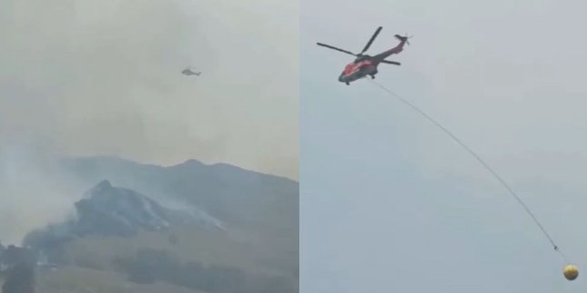 Kebakaran Gunung Bromo Akibat Foto Prewed Pakai Flare Belum Padam, Sampai Datangkan Helikopter untuk Pemadaman Api