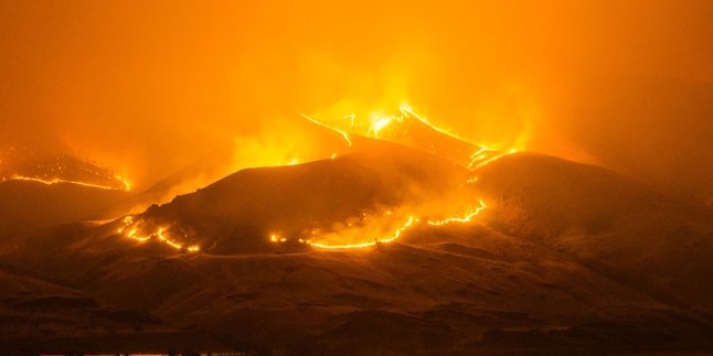 Kebakaran Hutan di Lereng Gunung Arjuno Capai  70 Ha