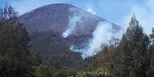 Kebakaran Hutan, Pendaki Dilarang ke Puncak Mahameru