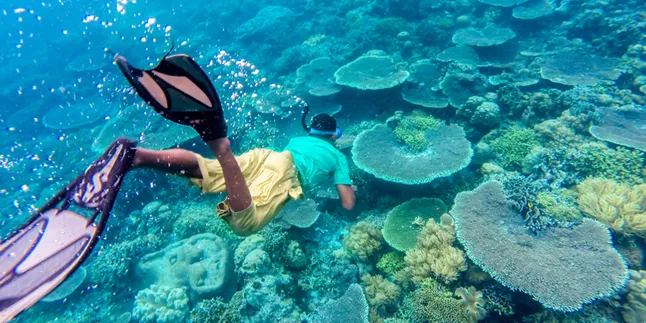 Kehadiran GenPI Akan Lesatkan Branding Wakatobi