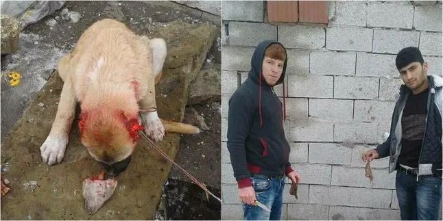 Kejam, Dua Pemuda Ini Potong Telinga Anjing Lalu Berpose Bangga