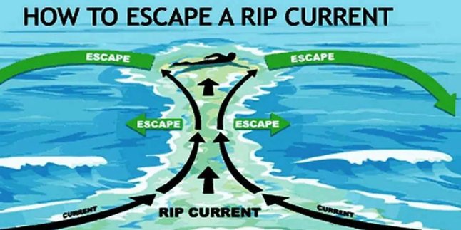 Recognize the Signs of Rip Current and Its Dangers to Avoid Being Swept Away by Waves at the Southern Beaches of Yogyakarta