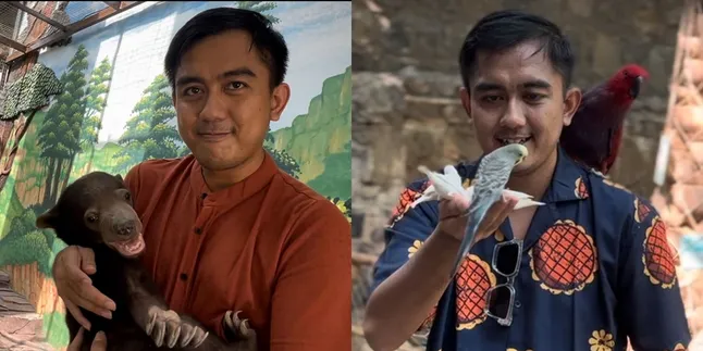 Kisah Selebgram Wildan Mochmaul yang Viral Bikin Konten Fiksi Animal Science, Sempat Dikira Dokter Hewan