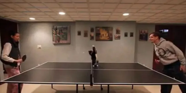 Kucing Main Ping-Pong Ala Atlet Profesional, Seperti Apa?