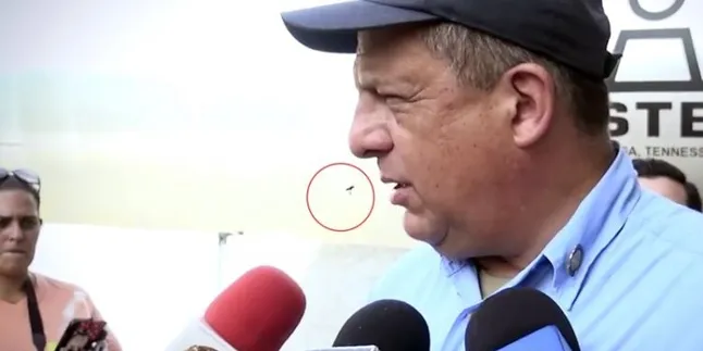 Lagi Diwawancara, Presiden Kosta Rika Tak Sengaja Makan Lalat