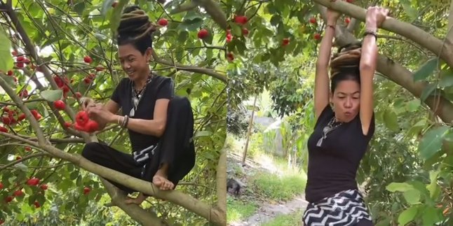 A Little Carefree, Yaya, Jennifer Coppen's Mother-in-law Climbs a Guava Tree, Agile to the Point of Hanging - Leaves Her Grandchild Kamari Stunned