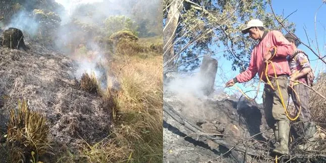 Luas Hutan Gunung Semeru Terdampak Kebakaran Mencapai 60,4 Ha
