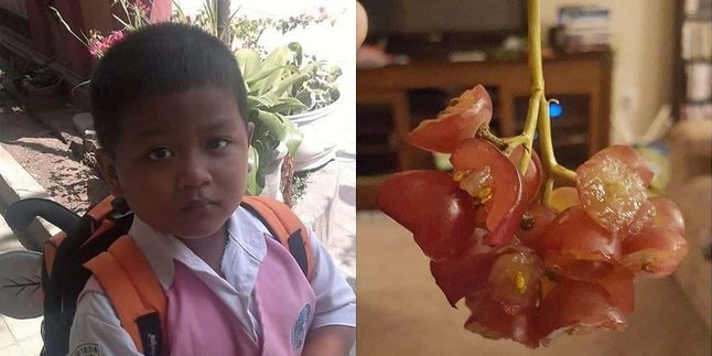 Makan Setengah Anggur, Tingkah Polos Bocah Ini Viral & Bikin Sang Kakak Bingung