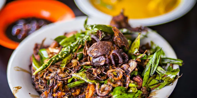 Makin Meriah, Aceh Culinary Festival 2019 Hadirkan Chef Kawakan William Wongso Makin Meriah, Aceh Culinary Festival 2019 Hadirkan Chef Kawakan William Wongso