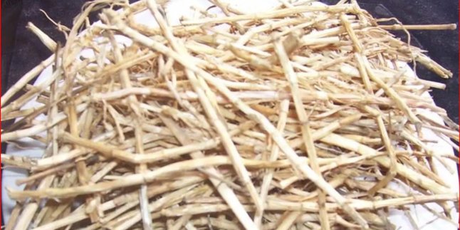 Benefits of Cogon Grass Roots, Here's How to Boil Them for Health