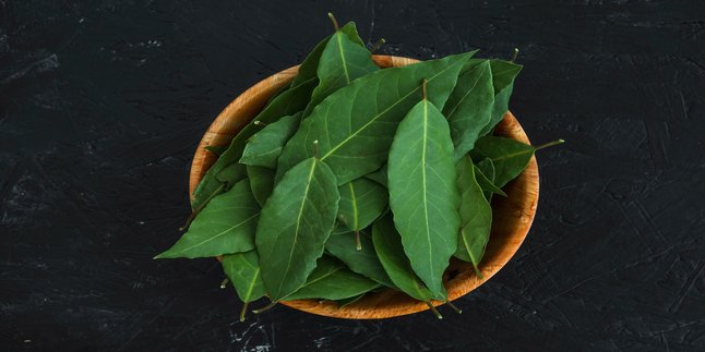 The Benefits of Bay Leaves for Lowering Cholesterol and Body Health