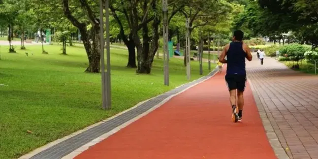 Manfaat Menakjubkan Jogging untuk Kesehatan Tubuh yang Perlu Anda Ketahui Manfaat Menakjubkan Jogging untuk Kesehatan Tubuh yang Perlu Anda Ketahui