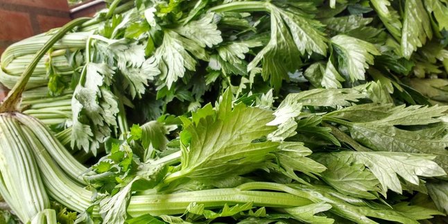 Benefits of Boiling Celery Leaves for High Blood Pressure, The Right Way to Maximize Results