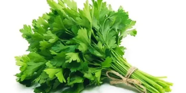 Manfaat Sehat Daun Seledri, Resep Praktis Turunkan Kolesterol dan Atasi Darah Tinggi