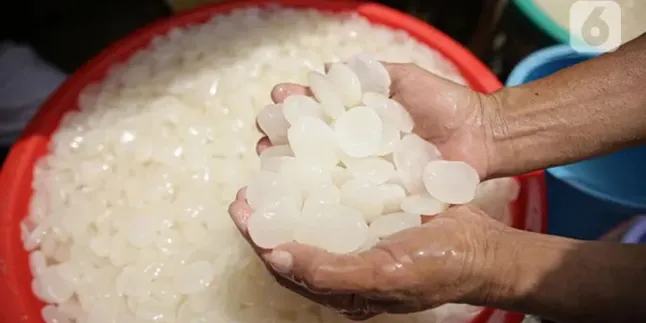 Manfaat Sehat Kolang-Kaling, Cara Ampuh Turunkan Kolesterol dan Asam Urat