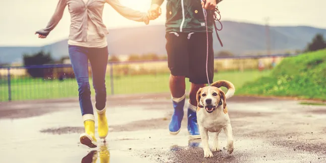 Mau Tinggal di Meikarta? Ini Dia Keuntungannya!