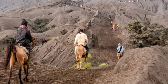Mau Wisata ke Gunung Bromo? Harus Booking Via Online Dulu Mulai Bulan Depan