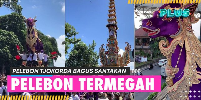 The Grand Ceremony of Pelebon Tjokorda Bagus Santakan in Ubud Bali - Purple Cow Steals Attention