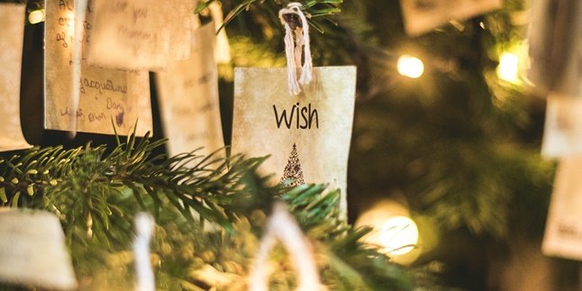 Understanding the Meaning of Wish and its Difference from Hope in a Sentence