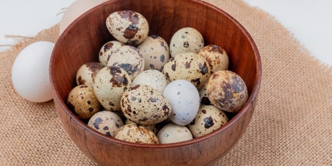 Meski Kecil, Nyatanya Ini 7 Manfaat Telur Puyuh yang Luar Biasa Bagi Kesehatan