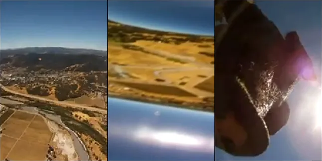 Menemukan Kamera Jatuh, Apa Reaksi Babi Ini?