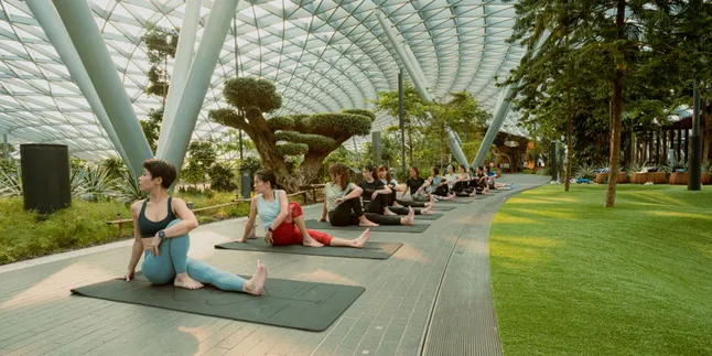 Menepi Sejenak di Tengah Perjalanan, Rasakan Pengalaman Wellness Berbeda di Jewel Changi Airport