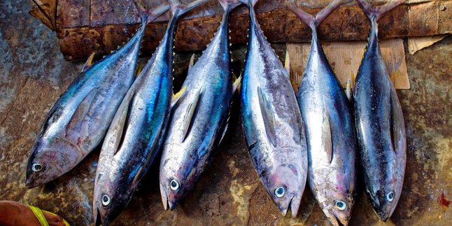 Menghapus Lendir Ikan dengan Tepung Terigu Tanpa Perlu Jeruk Nipis