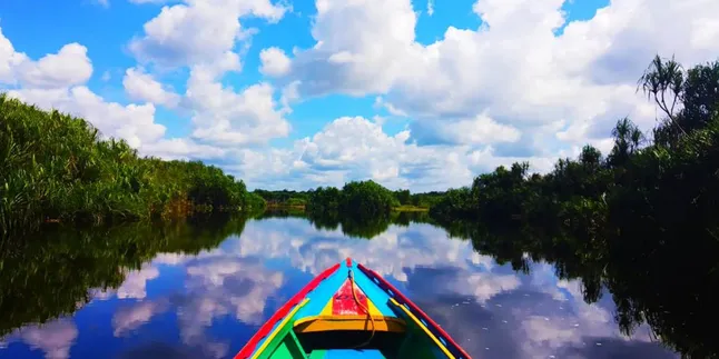 Mengulik Pesona Sebangau, Wisata Air yang Lagi Trending di Kalimantan Tengah Mengulik Pesona Sebangau, Wisata Air yang Lagi Trending di Kalimantan Tengah
