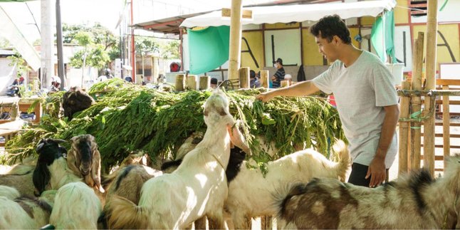 Meski Berpenghasilan Sedikit, Tapi Kamu Tetap Bisa Berkurban Lho! Begini Tipsnya