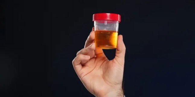 Minum Air Kencing, Fakta dan Risiko yang Perlu Anda Ketahui Menurut Dokter! Minum Air Kencing, Fakta dan Risiko yang Perlu Anda Ketahui Menurut Dokter!