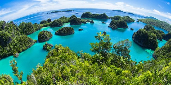 Potret Kemiskinan Di Balik Indahnya Surga Wisata Raja Ampat