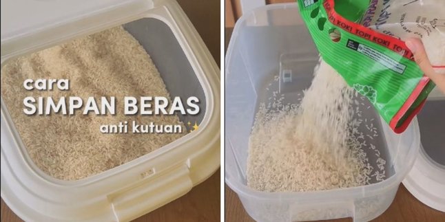 Modal 1 Bahan Dapur, Begini Cara Simpan Beras Anti Kutu dan Apek