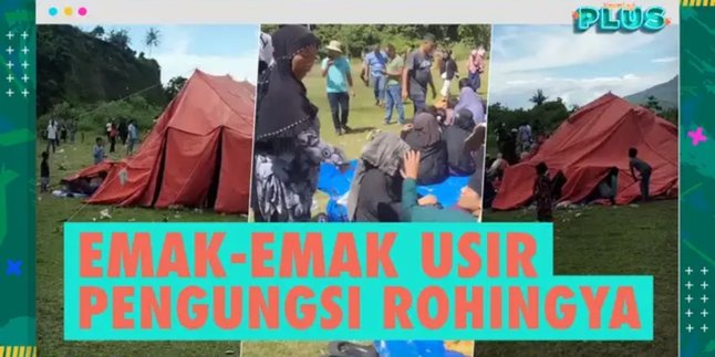 ANGER! Mothers in Aceh Emotionally Expel Rohingya Refugees, Their Tents are Forcedly Unpacked