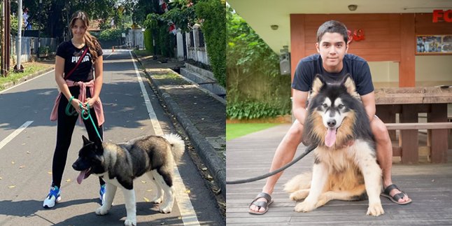 Muslim But Keeping Dogs, These 10 Celebrities are Criticized and Reminded About Their Religion by Netizens