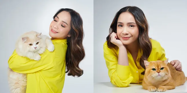 Nagita Slavina Punya Cara Tersendiri Manjakan Kucing-Kucingnya