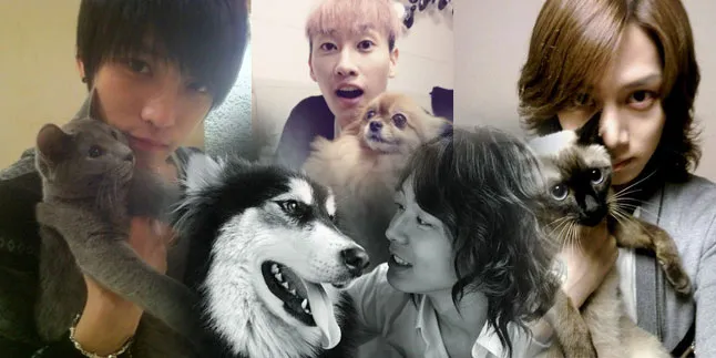 Nah Loh... 10 Idol K-Pop Ini Mirip Peliharaan Mereka