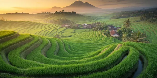 Nama-nama Dataran Rendah di Pulau Jawa: Mengenal Wilayah Subur Nusantara