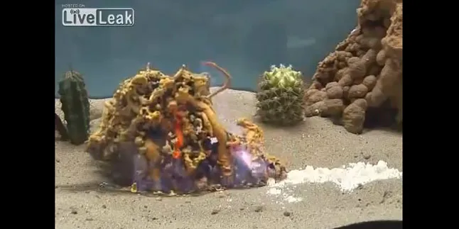 Ngeri, Zat Kimia Ini Bisa Menciptakan 'Monster'!