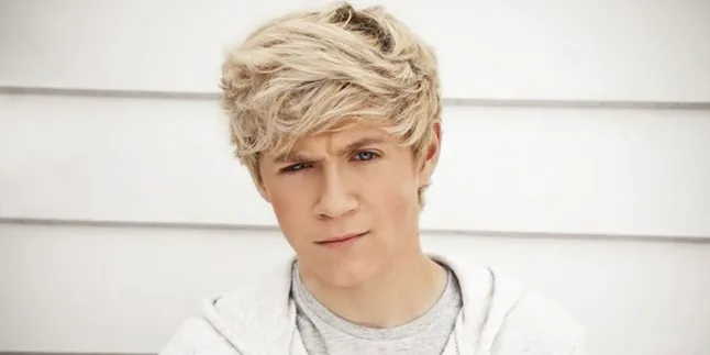 Niall Horan: Aku Benci Hacker