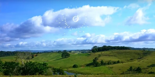 Nikmati Serunya Tinggal di Luar Negeri Bersama VIM, Kenalan Yuk!