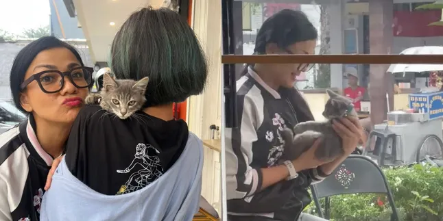 Nirina Zubir Adopts a New Cat, Unable to Resist Temptation Even Though She Already Has Dozens of Them