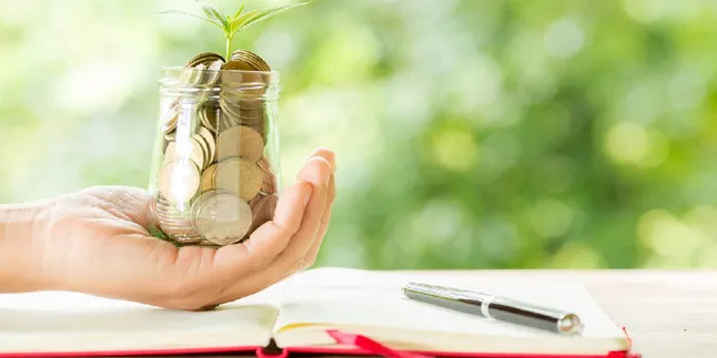 Guide to Saving in Mutual Funds for Beginners, Starting from Small Capital to Investment Strategies